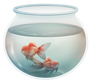 Goldfish in a bowl
