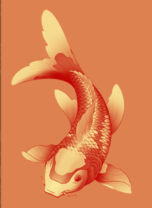 Yellow koi