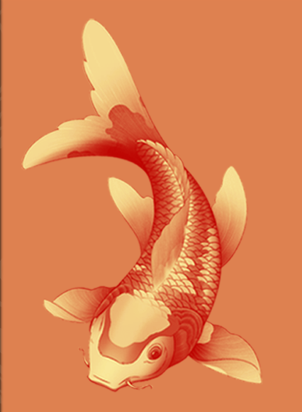 Yellow koi